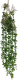Искусственное растение Артфлора Дисхидия Русифолия с корнями h100 / 107013 - 