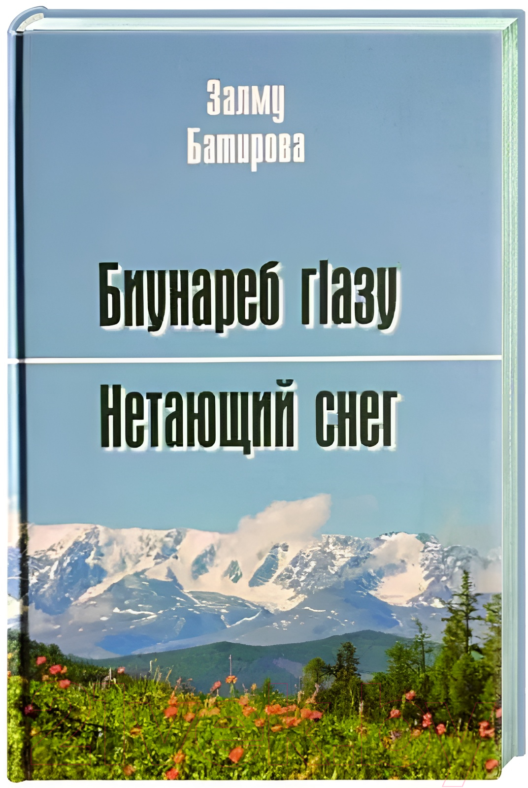 Художественная книга Вече Нетающий снег. Стихи и поэмы / 9785448445606 (Батирова З.)
