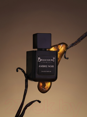 Изображение товара Парфюмерная вода Brecourt Ambre Noir (50мл)