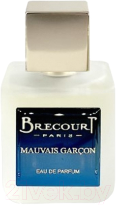 Парфюмерная вода Brecourt Mauvais Garson (50мл)