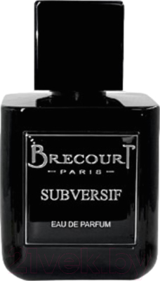 Изображение товара Парфюмерная вода Brecourt Subversif (50мл)