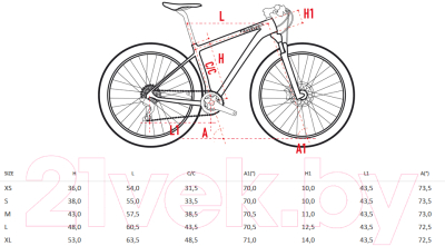 wilier 407