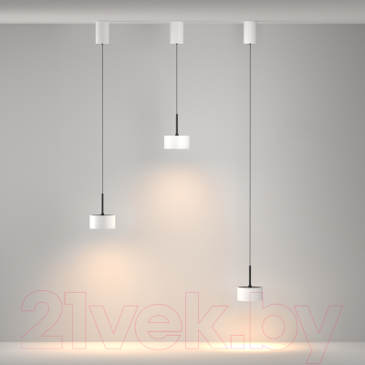 Потолочный светильник Maytoni Pendant P102PL-12W3K-W