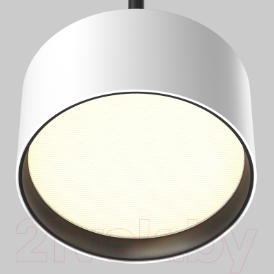 Потолочный светильник Maytoni Pendant P102PL-12W4K-W