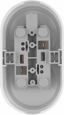 Розетка TDM Двойная SQ1806-0529