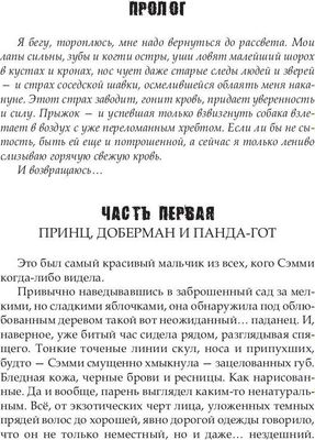 Книга Rugram Броманс твердая обложка (Колесова Наталья)