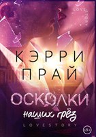 Книга Rugram Осколки наших грез твердая обложка (Прай Кэрри) - 