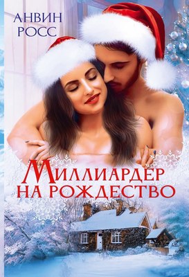 

Книга, Миллиардер на Рождество твердая обложка