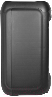 Портативная колонка Ritmix SP-925B (черный)