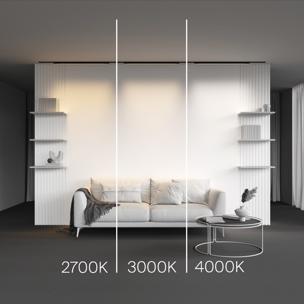 Трековый светильник Maytoni TR192-1-21W3K-B