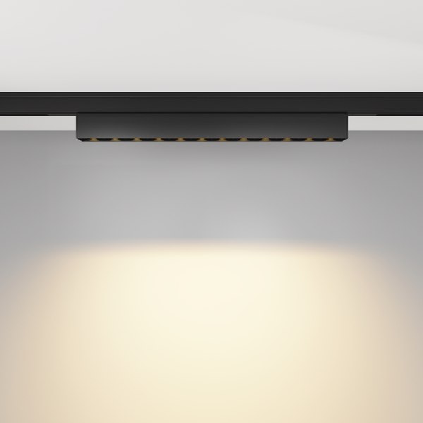 Трековый светильник Maytoni TR193-1-10W2.7K-M-B