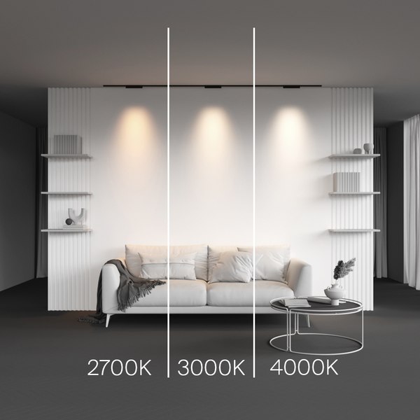 Трековый светильник Maytoni TR193-1-10W2.7K-M-B