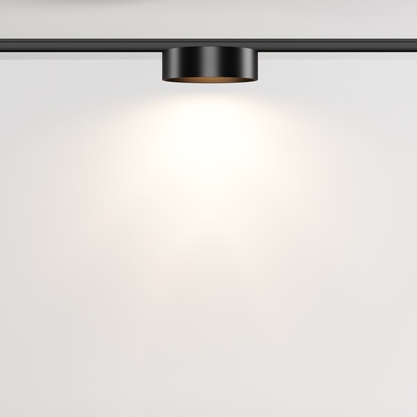 Трековый светильник Maytoni TR189-1-12W3K-B
