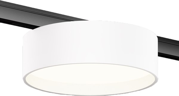 Трековый светильник Maytoni TR189-1-12W4K-BW