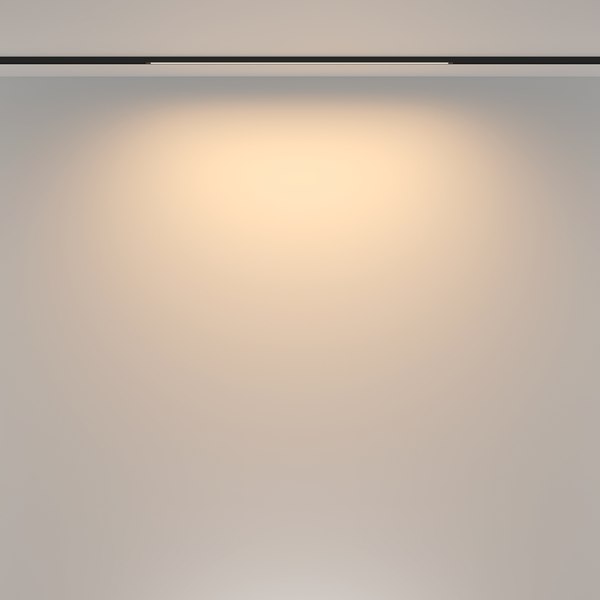 Трековый светильник Maytoni TR173-1-16WTW-B