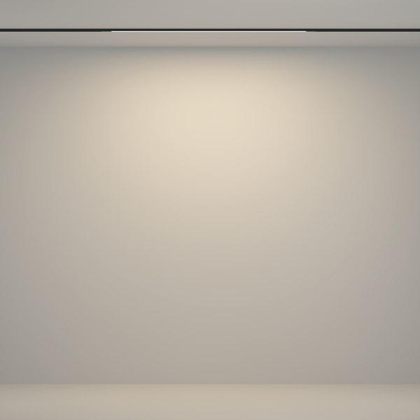 Трековый светильник Maytoni TR180-1-12WTW-B