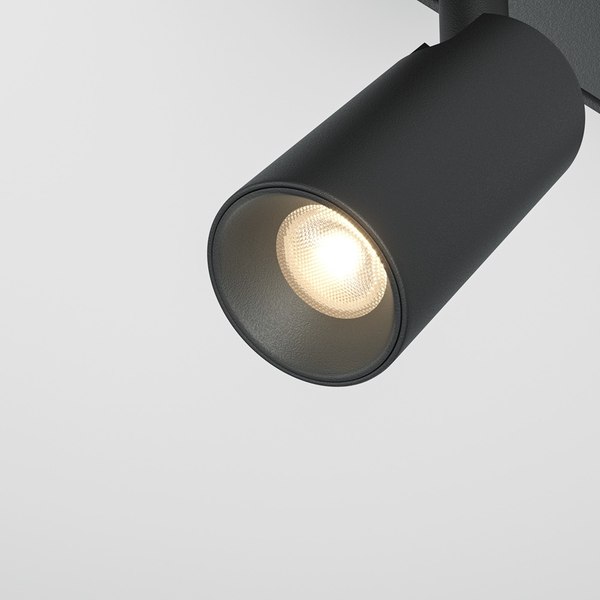 Трековый светильник Maytoni TR176-1-2X3WTW-M-B