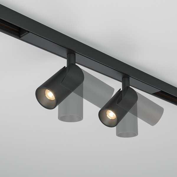 Трековый светильник Maytoni TR176-1-2X3WTW-M-B