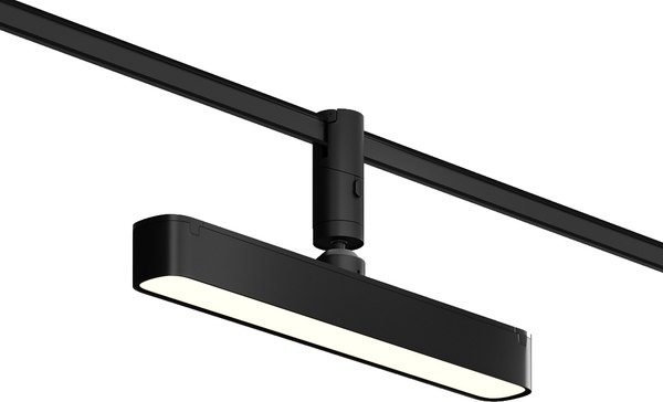 Трековый светильник Maytoni TR202-1-10W3K-B