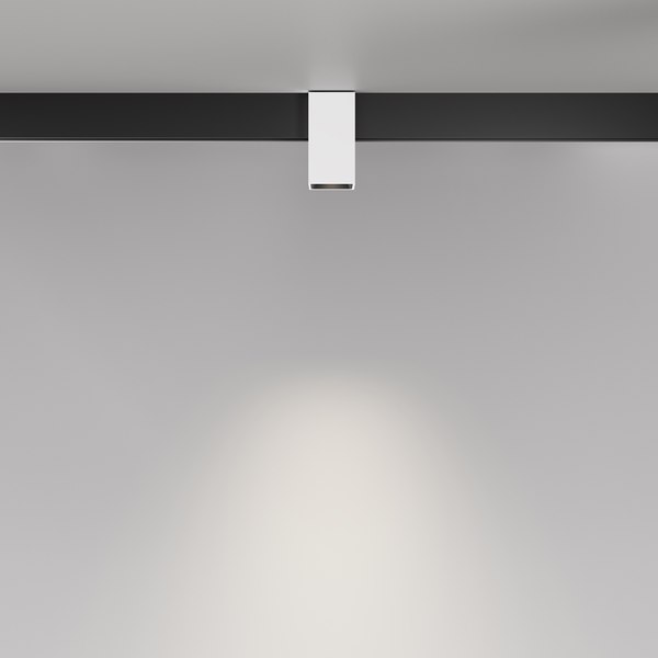Трековый светильник Maytoni TR121-4-7W-DS-W