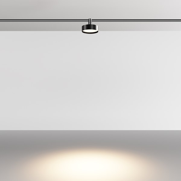 Трековый светильник Maytoni TR204-1-12W3K-B