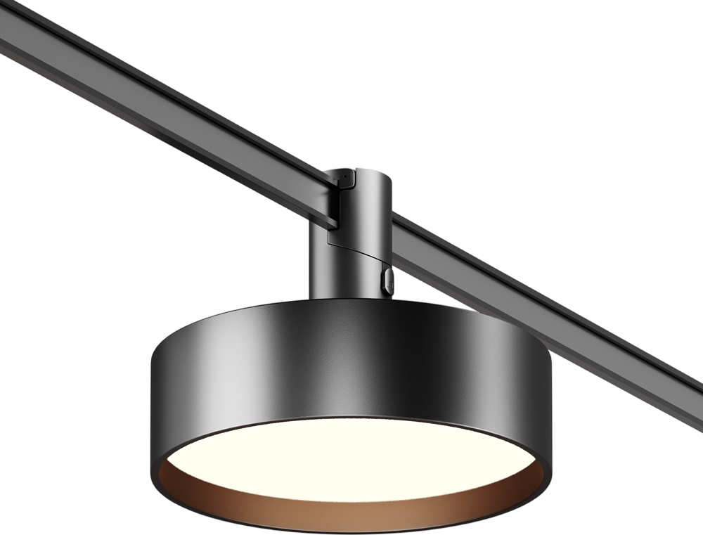 Трековый светильник Maytoni TR204-1-12W3K-B