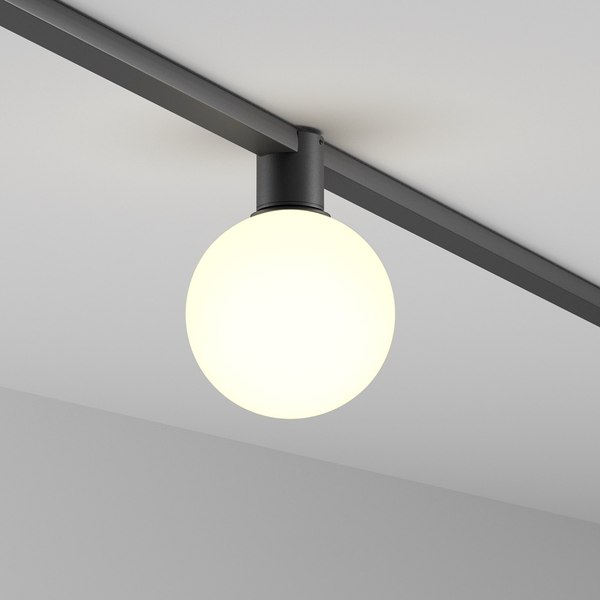 Трековый светильник Maytoni TR171-1-5W3K-WB