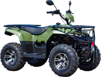 Квадроцикл Irbis Motors ATV 200 LUX (зеленый) - 