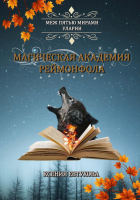 Книга Rugram Магическая академия Реймонфола / 9785517098375 (Евтухова К.) - 