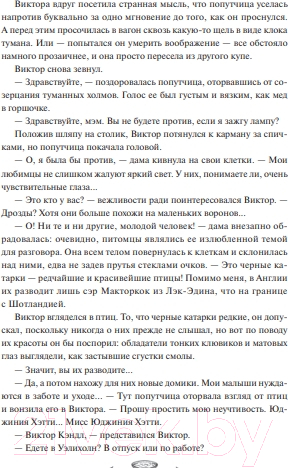 Художественная книга МИФ Мистер Вечный Канун. Специальное издание / 9785002141227 (Торин В., Яковлев О.) — фото 4