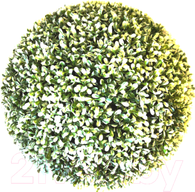 Искусственное растение Green Fly Самшит Вальс / С-5-22