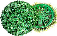 

Искусственное растение Green Fly, Самшит полусфера Амазонка / СП-11-42