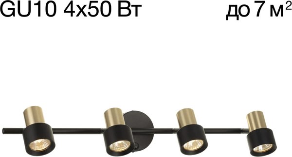 Спот Citilux SAT CL505641