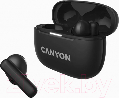 Беспроводные наушники Canyon TWS-10 / CNS-TWS10B