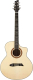 Акустическая гитара NG GT500 (натуральный) - 