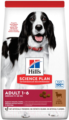 Сухой корм для собак Hill's SP для взрослых собак средних пород, с ягненком и рисом / 604357 (14кг)