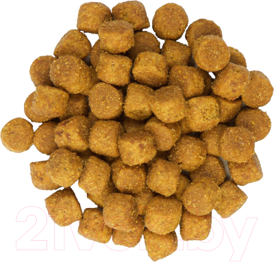 Сухой корм для собак Hill's SP для взрослых собак средних пород, с ягненком и рисом / 604357 (14кг)