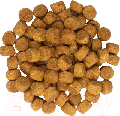 Сухой корм для собак Hill's SP для щенков крупных пород, с курицей / 604386 (14.5кг)