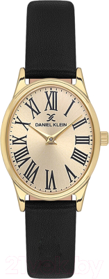 Часы наручные женские Daniel Klein 13723-3