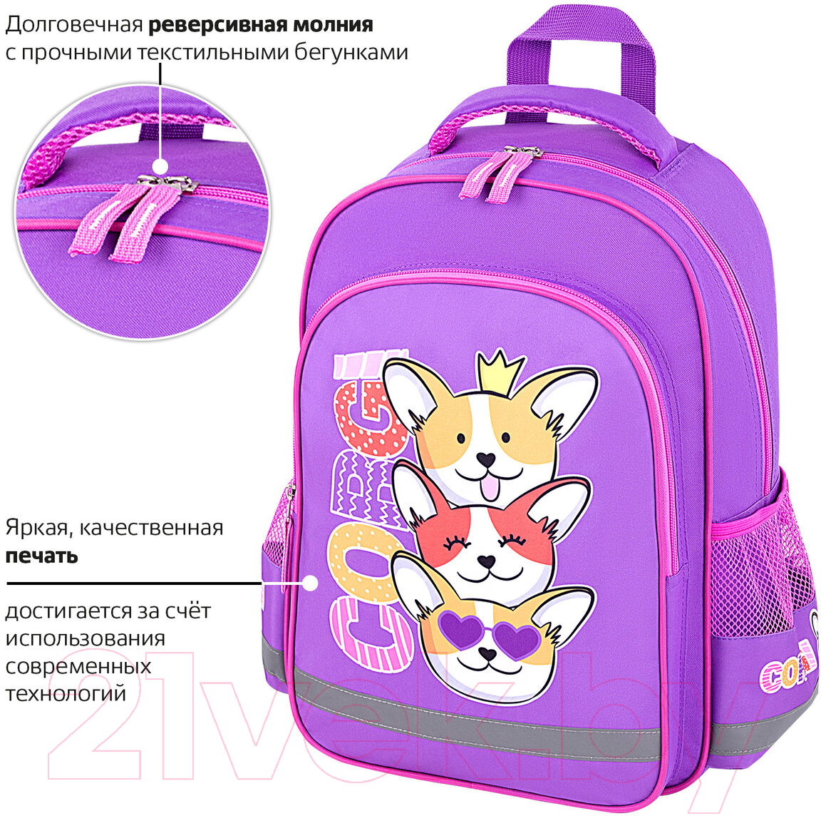 Школьный рюкзак Пифагор School. Corgi Queen / 272085