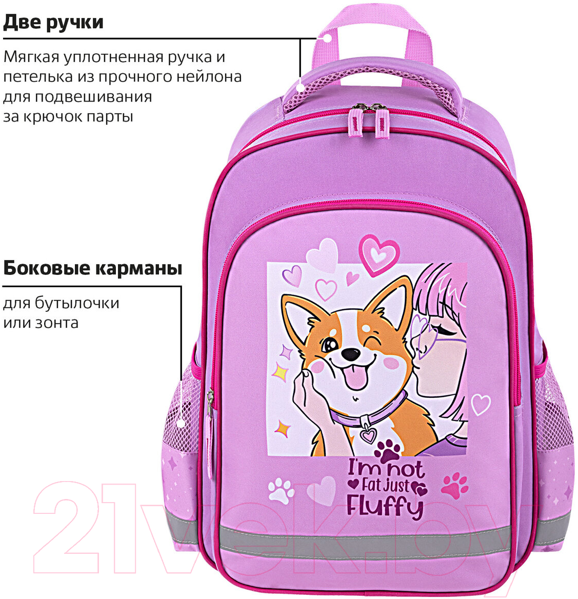 Школьный рюкзак Пифагор School. Fluffy Akita / 272084