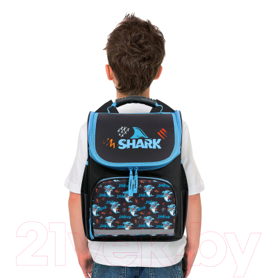 Школьный рюкзак Пифагор Basic. Angry Shark / 272044