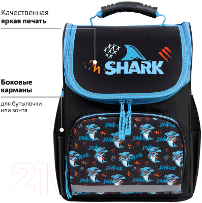 Школьный рюкзак Пифагор Basic. Angry Shark / 272044