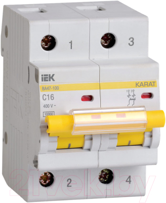Выключатель автоматический IEK ВА47-100 2Р 16А 10 кА С / MVA40-2-016-C