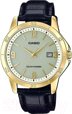 Часы наручные мужские Casio MTP-VS02GL-9A2