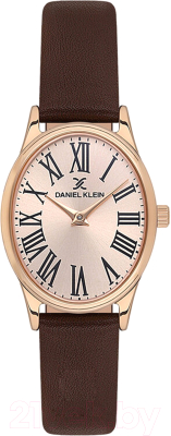 Часы наручные женские Daniel Klein 13723-5