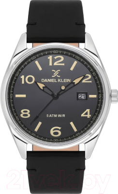 Часы наручные мужские Daniel Klein 13732-2
