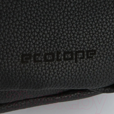 Рюкзак Ecotope 018-P3135-BLK (черный)