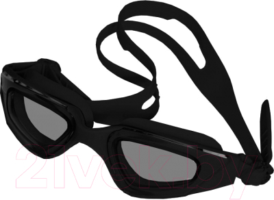 Очки для плавания Atemi Swift Snap / FSS1BK (черный)
