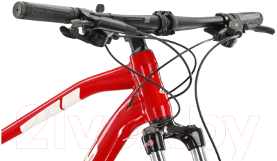 Велосипед Kross Level 3.0 M 29 red_whi g ALV SM / KRLV3Z29X19M005343 (L, красный/белый)